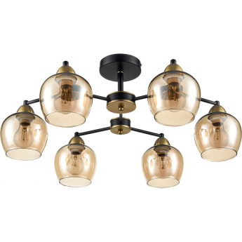 Потолочная люстра LUMION LANDA 8249/6C